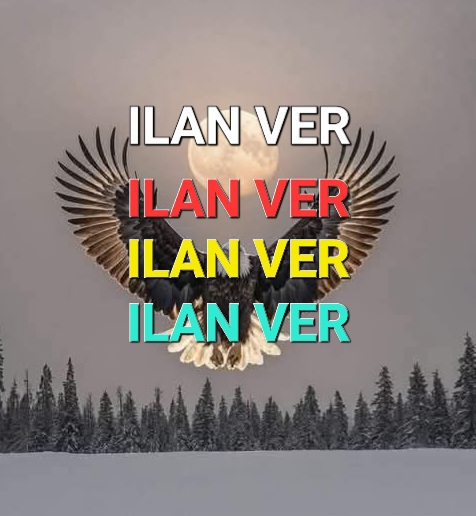ILAN VER