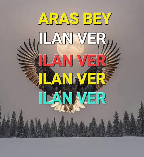 ILAN VER